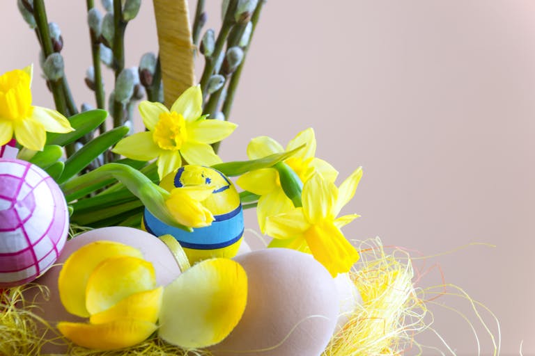 Bright Easter scene with decorated eggs and blooming daffodils, creating a festive spring atmosphere.